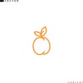 Apricot icon. Line art. Isolated fruit with leaves